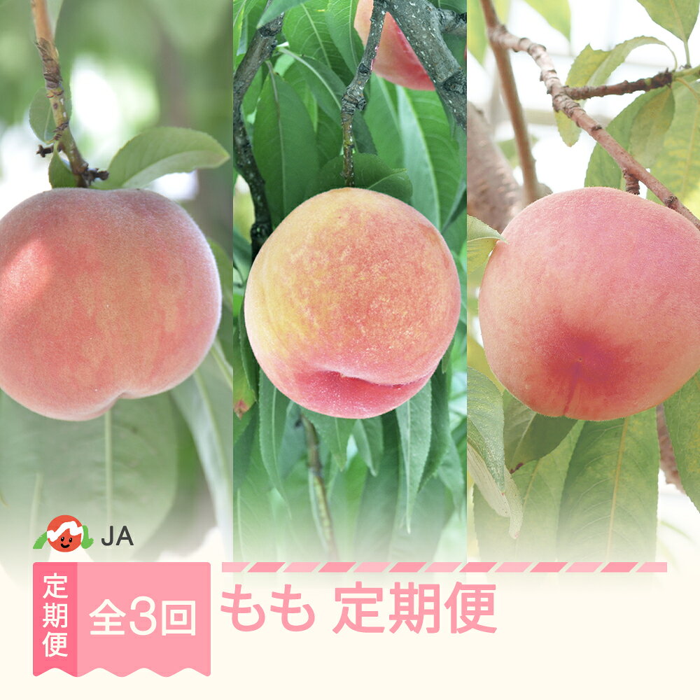 【ふるさと納税】【先行予約】全3回 山形もも食べ比べ 定期便 令和9年産 2027年産 白桃 モモ 果物 フルーツ 山形県産 送料無料 ※沖縄・離島への配送不可 ja-tkmox-a