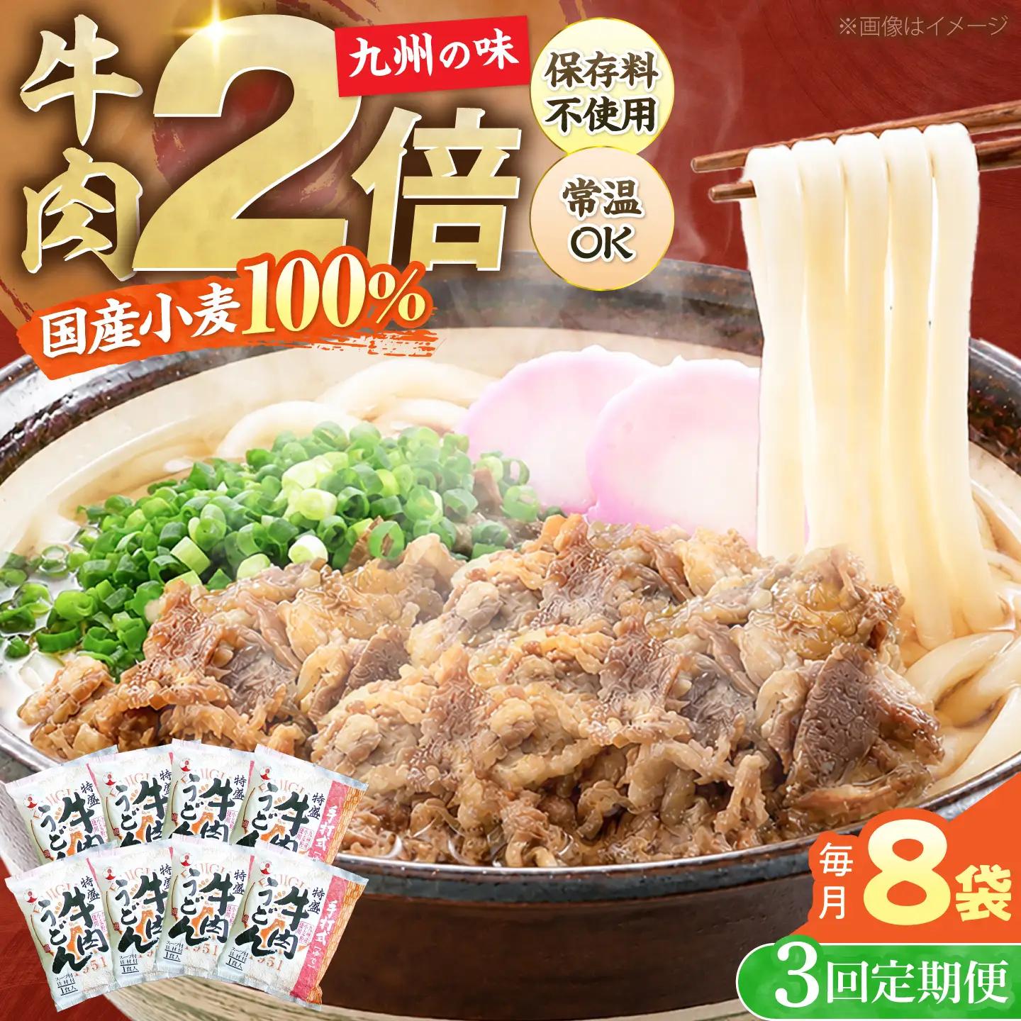 【全3回定期便】特盛牛肉うどん8食 VAI040 肉うどん