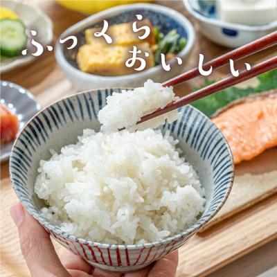 ふるさと納税 米沢市 【 令和7年産 】 コシヒカリ 計10kg ( 5kg×2袋 ) |  | 01