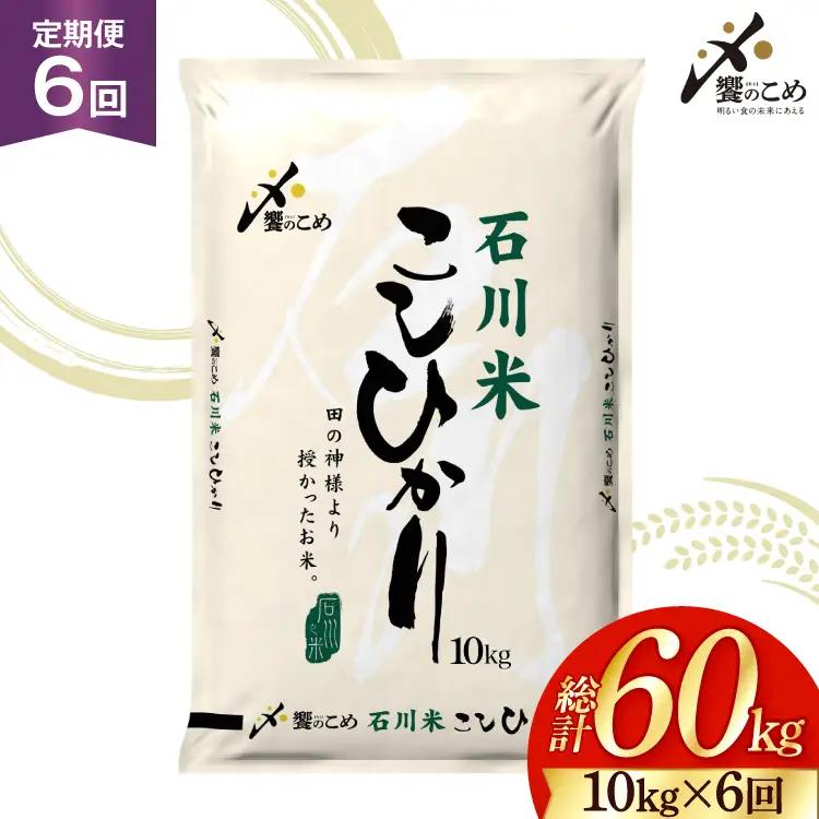 【ふるなび限定】 米 定期便 石川米 こしひかり 10kg 6回 FN-Limited-SP