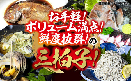 【何が届くかお楽しみ】旬の海の幸 福袋 寄附額2万円相当 魚介類 海産物 海鮮 刺身 広島 江田島市/七宝丸[XBY005]刺し身海鮮魚介類セット刺身