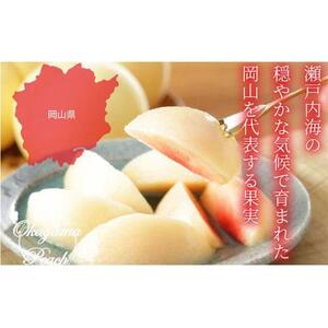 2026年 岡山   白 桃   エース 3玉×約300g（3Lサイズ）JAおかやま（早生種・中生種）｜ 桃