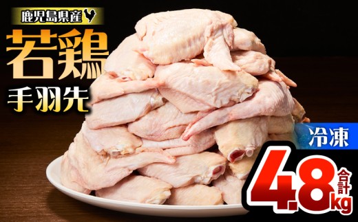 鹿児島県産若鶏手羽先 4.8kg セット　KN165-006-01