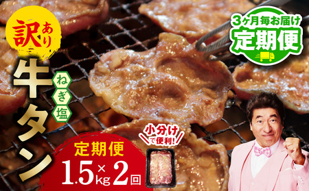 【定期便】ねぎ塩 牛たん（成型）合計 1.5kg 小分け 250g×6【2026年3月＆6月発送】