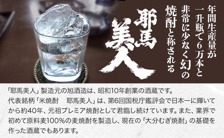 【定期便3回】耶馬美人の姉妹品「禅海」720ml 25度 米1本 | お酒 酒 アルコール 日本酒 禅海 地酒 焼酎 米焼酎 1本 定期 定期便 大分県 中津市