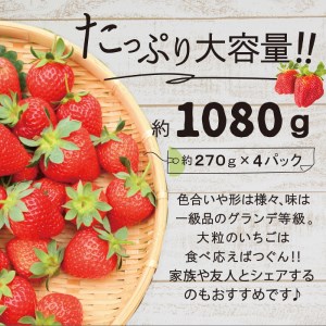あまおう いちご 1,080g ( 約 270g × 4パック ) 糸島市 / 株式会社HSP-テクノ [AZL001] グランデ 等級 福岡県産 いちご 苺 イチゴ あまおう 果物 フルーツ ストロ