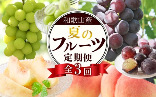 
            定期便全3回 【7月・8月・9月発送】 和歌山のフルーツをお届け（桃・たねなしピオーネ・シャインマスカット）【TM180】
          