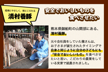 ワイルド塊セット 計1450g 清村養豚 《30日以内に出荷予定(土日祝除く)》  熊本県  豚 肉  小分け カタ モモ---sm_fkymwibbq_30d_23_13500_1450g---