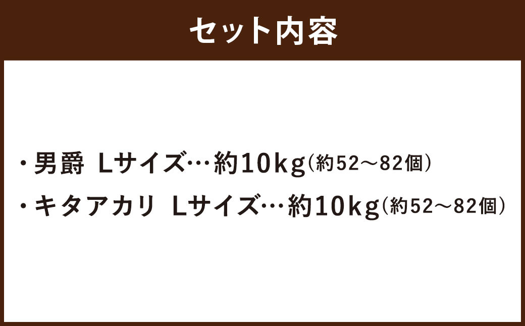 じゃがいも 男爵 キタアカリ  Lサイズ 各約10kg×1箱 計約20kg （JA）