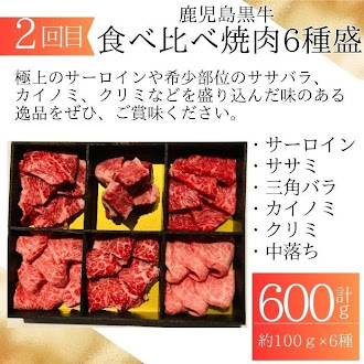 【F90002】 ＜定期便・全6回＞肝付町セレクト定期便《鰻と牛肉を楽しむ定期便》_イメージ3