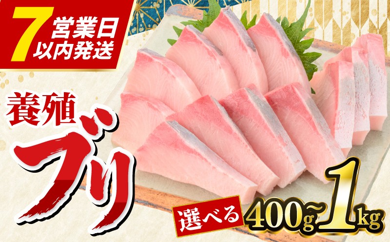 
                  ぶり 刺身 400g 1kg お刺身 ロイン 海鮮丼 漬け丼 魚 鰤 ブリ ぶり ハマチ はまち 刺身 お刺身 海鮮丼 漬け丼 ぶりしゃぶ しゃぶしゃぶ 鍋  ロイン スキンレスロイン 簡単 皮なし お手軽 切身 冷凍 高知県 宿毛市 
                