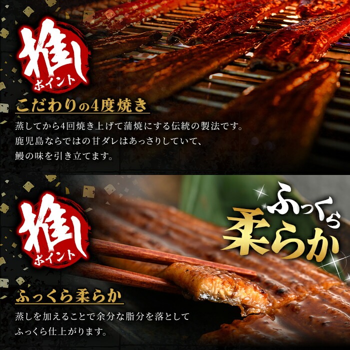 ＜尾数が選べる！＞無投薬！鹿児島県産うなぎ蒲焼セット＜特大＞(計480g・ 約160g×3尾) タレ・山椒付【西日本養鰻】A506-v01 【3尾】計480g