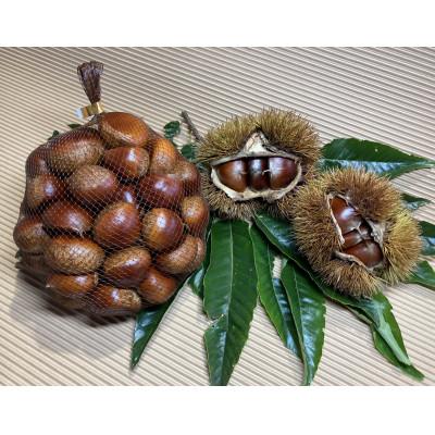 ふるさと納税 石岡市 【先行予約2026年9月中旬より順次発送】茨城県石岡市産　鶴沼の生栗2kg |  | 01