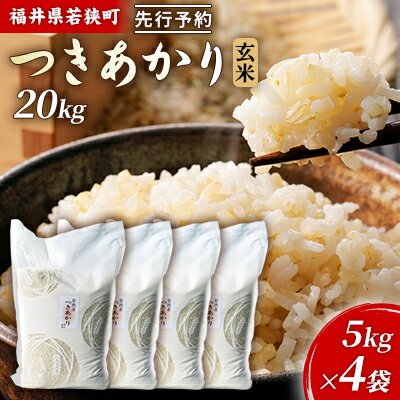 【ふるさと納税】令和6年産福井県若狭町つきあかり（一等米）玄米　20kg（神谷農園） 5kg×4袋 お米 ブランド米 銘柄米 ご飯 おにぎり お弁当 産地直送 和食 主食 　お届け：2026年10月以降発送