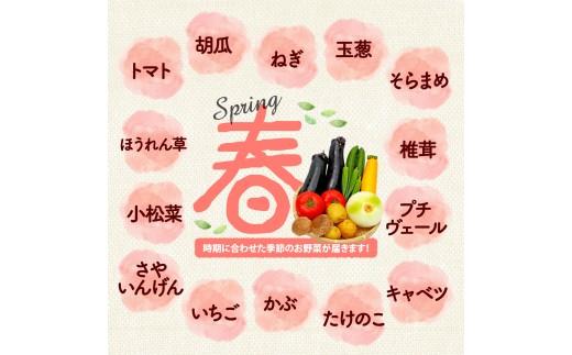  【厳選】 野菜セット 3回 詰め合わせ 一人暮らし 新鮮 こだわり エコ農産物 ほぼ 無農薬 朝採れ 季節野菜 詰め合わせ 健康 ヘルシー 食卓 サラダ フレッシュ 煮物 スープ 安心 安全 国産 