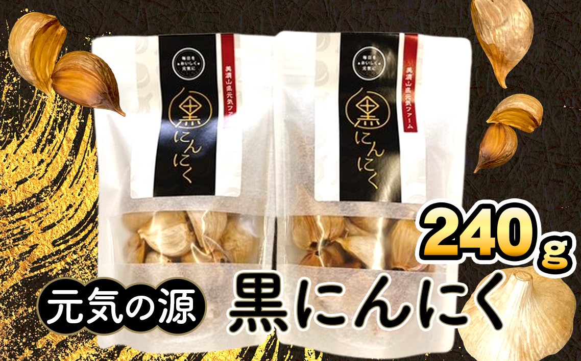 
            元気の源　黒にんにく　240g [No.672] ／ ニンニク 大蒜 長期熟成 大粒 岐阜県 特産品
          