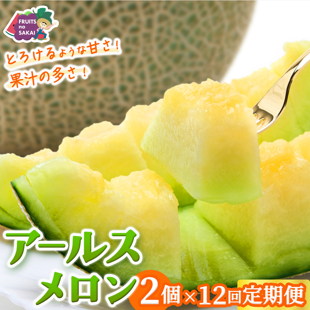【定期便】 アールスメロン 2玉 × 12か月連続 メロン ギフト 高糖度 甘い 美味しい フルーツ 誕生日 プレゼント ギフト 贈り物 父の日 母の日 2個 [FC50-NT]