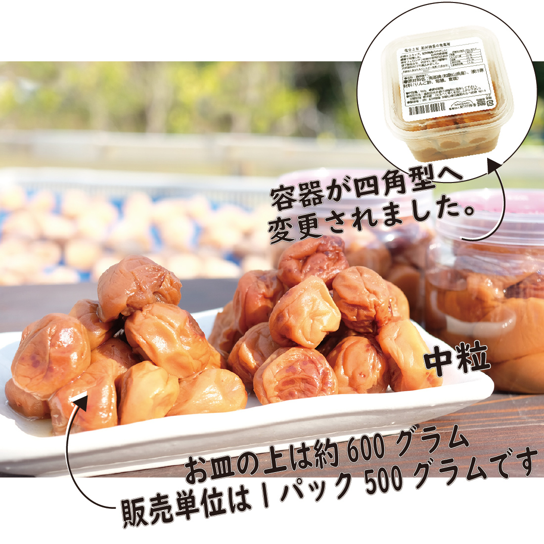 梅干し 無農薬、無添加の訳あり減塩つぶれ梅1kg（500g×2）塩分3％ ｜ 和歌山 みなべ町 梅干し ウメ 梅 梅干 南高梅 減塩