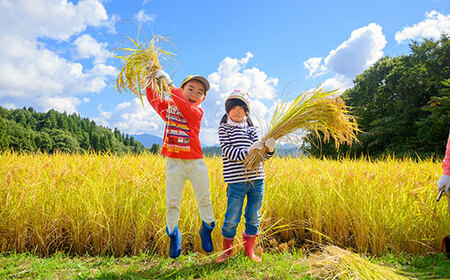 棚田米きんのあき1kg 新潟県胎内市鍬江集落産 コシヒカリ 特別栽培米