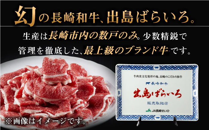 長崎和牛 出島ばらいろ ヒレ肉 200g×2枚【合同会社肉のマルシン】 [QBN013] [QBN013]