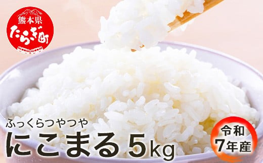 【 通常配送 令和7年産 】 米どころ 多良木町産 にこまる 5kg