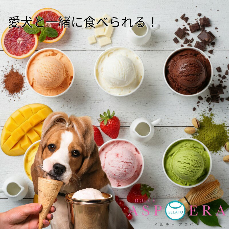 【ふるさと納税】愛犬と楽しむ ジェラート 12個 セット 詰め合わせ 人間用 犬用 6個 ミルク チョコレート 抹茶 いちご マンゴー オレンジ 鶏肉 牛肉 鹿肉 ペット スイーツ デザート ギフト用 大阪府 泉佐野市 送料無料