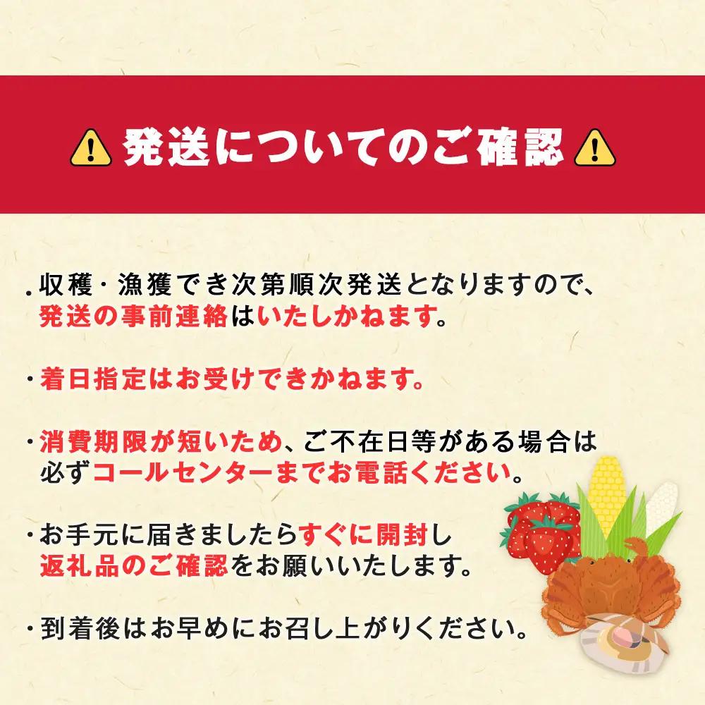 2026年夏発送 白いとうもろこし ピュアホワイト L～2L 16本
