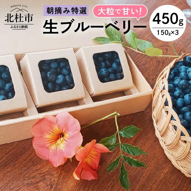 【2026年先行予約】大粒で甘い！生ブルーベリー3箱セット  [h185]