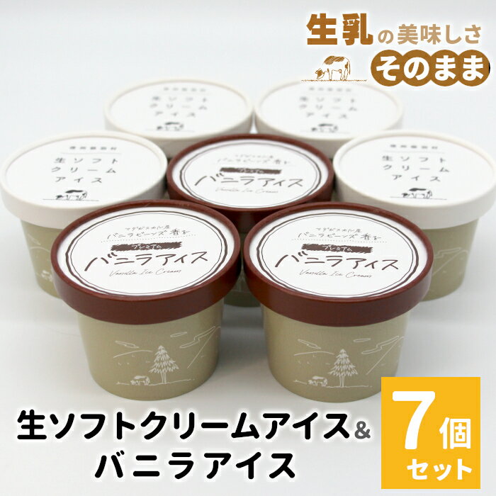 【ふるさと納税】【発送月が選べる】 食べ比べ！生ソフトクリーム＆バニラアイス 7個入り80ml 高評価 レビュー ★4.9 以上 マダガスカル産 生乳 スイーツ アイスクリーム バニラ 人気 シンプル お取り寄せ 定番 ミルクアイス ランキング ギフト 5000円