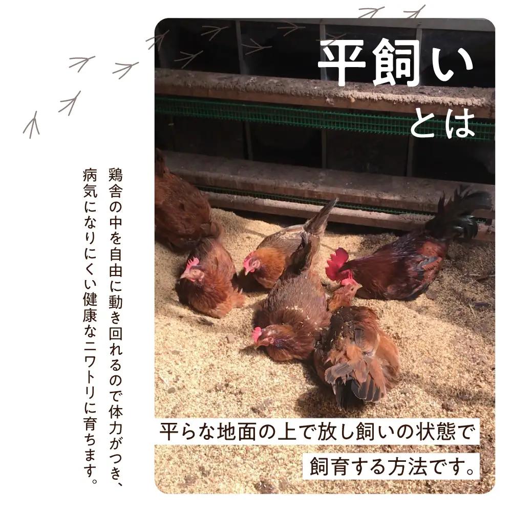 定期便  森のたまご農園 定期便 12ヶ月 24個 定期便 LW104