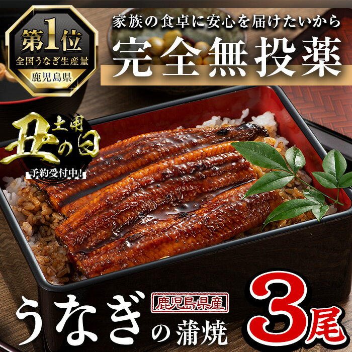 【ふるさと納税】＜丑の日先行予約受付中！＞鹿児島県産うなぎ蒲焼 (1尾あたり136g〜155g×3尾、タレ・山椒付き) 鰻 ウナギ うな重 ひつまぶし かばやき 九州産 国産 冷凍 【西日本養鰻】