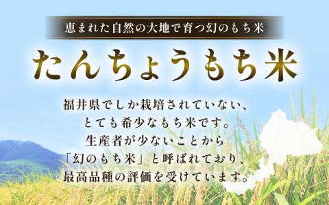 【先行予約】期間限定 丸餅 約3kg  80g × 39個 幻のもち米　福井県産タンチョウモチ米使用