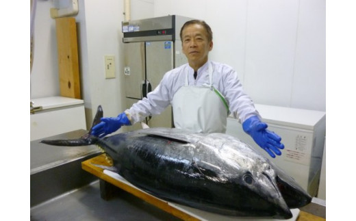 [A139p］【全12回定期便 総計9.6kg】本マグロ (大トロ・中トロ・赤身) 計800g以上 長崎県産 海鮮丼のタレ付き【本家永松家】マグロ まぐろ 鮪 大とろ 中とろ 赤身 刺身 海鮮丼 定期