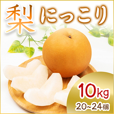 
            ＜2025年10月より順次発送予定＞にっこり　10kg　20～24個(県内共通返礼品:石岡市産) (BR014)
          