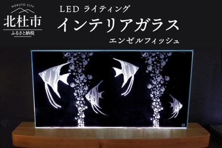 ＬＥＤライティング　インテリアガラス「エンゼルフィッシュ」