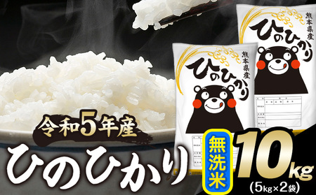令和5年産 ひのひかり 無洗米 10kg 《30日以内に出荷予定(土日祝除く)》  5kg×2袋 熊本県産 米 精米 ひの 熊本県 南阿蘇村
