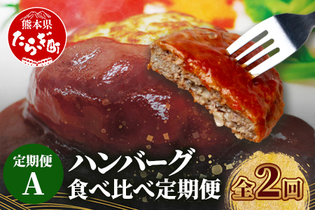 【定期便2回】 人気 ハンバーグ 食べ比べ 定期便 A《 自家製豆腐のハンバーグ 15個／ 4種ソースのレンチンバーグ 8個》 バラエティ 定期便 豆腐 肉 温めるだけ 熊本県産 092-0024 豆
