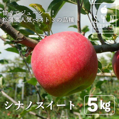 【ふるさと納税】先行予約 松陽園の樹上 完熟 りんご シナノスイート 5kg 岩手県 遠野市産 農家直送【配送不可地域：離島】【1698679】