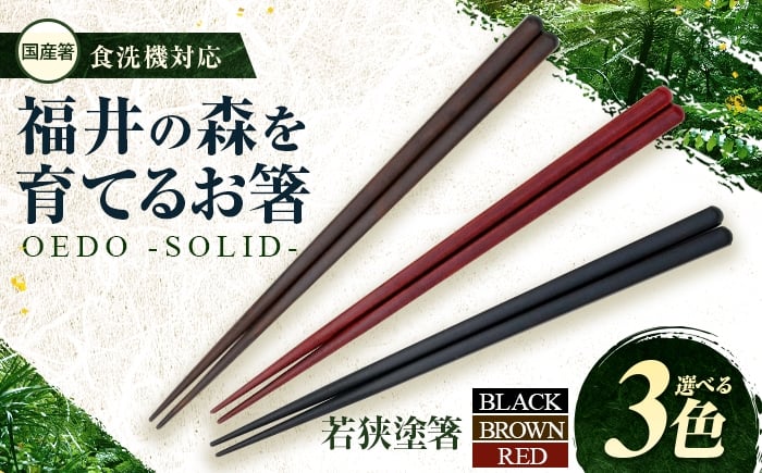 
            OEDO -SOLID-【選べるカラー】福井の森から生まれたお箸（食洗機対応 若狭塗箸 1膳）/ 国産 木製 箸 サステナブル 小浜市 / スタイル・オブ・ジャパン [BFCX055]
          