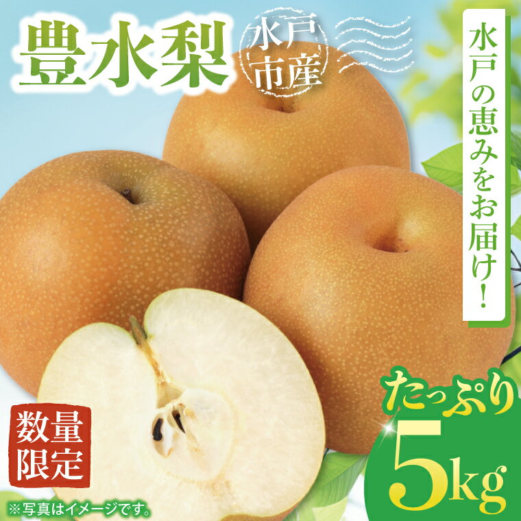 【ふるさと納税】【9月中旬より順次発送】【数量限定】水戸の恵みをお届け 豊水梨5kg【茨城県 水戸市 ふるさと納税 果物 くだもの フルーツ 梨 ナシ なし 採れたて 新鮮 完熟 期間限定】（NO-1）