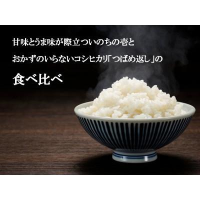 ふるさと納税 燕市 【令和7年産新米 先行予約】食べ比べ甲「いのちの壱・つばめ返し」各2kg |  | 01