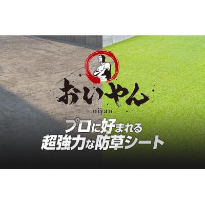 ふるさと納税 橋本市 ガーデニングや庭の景観改善に使用　雑草を防ぎ草抜き作業を軽減　枯草が混じる冬の人工芝防草シート