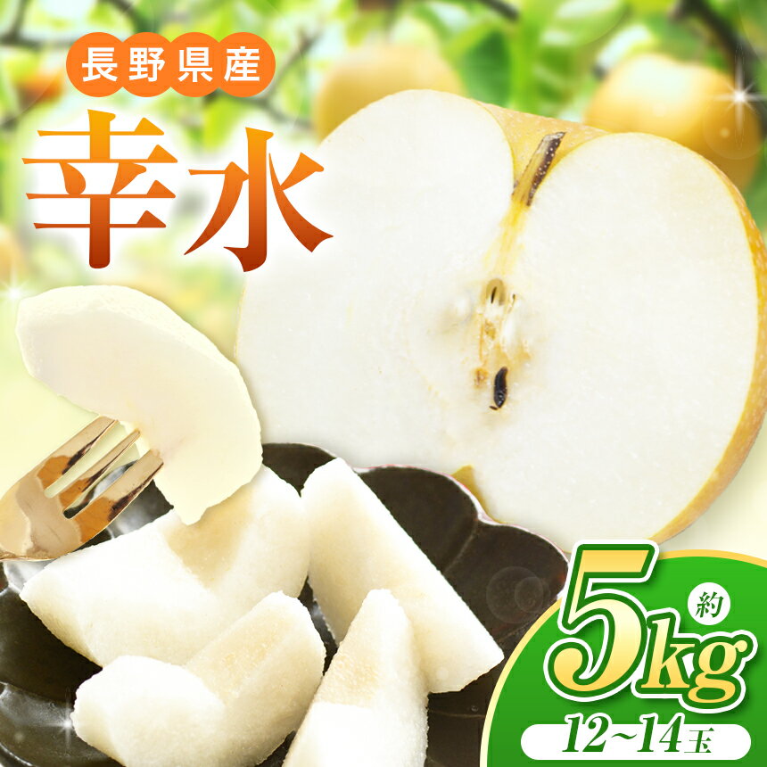 【ふるさと納税】【2025年 先行予約】幸水 約5kg （ 12 ～ 14 玉 ）【8月下旬頃より発送予定】 | 果物 くだもの フルーツ 梨 なし ナシ 長野県 塩尻市