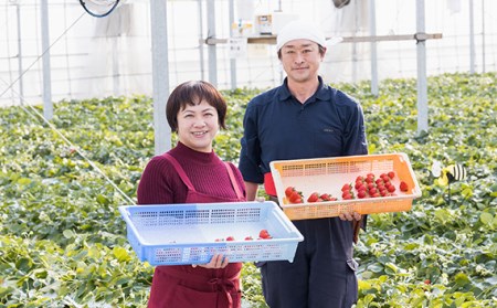 あまりん　ただかね農園　約400g No.228