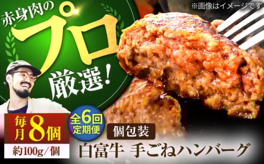 【牧場直送】【6回定期便】白富牛 岩塩と牛肉のみで作った手ごねハンバーグ 100g×8個【有限会社佐賀セントラル牧場】 牛肉 肉 お肉 佐賀 ハンバーグ はんばーぐ 和牛 [IAH055]