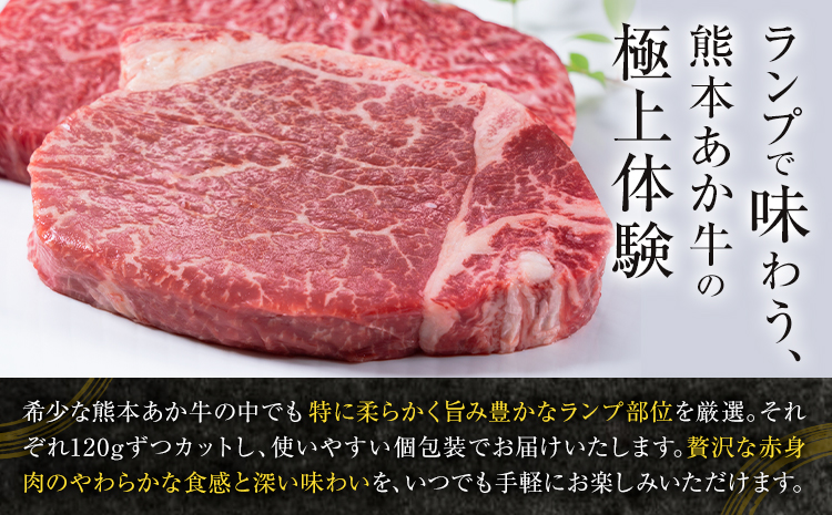 あか牛ミニステーキ ランプ部位使用 約480g 合同会社たべたせいか《30日以内に出荷予定(土日祝除く)》熊本県 菊池市 肉 牛肉 お肉 和牛 あか牛 ステーキ ミニステーキ 個包装 小分け 熊本県産