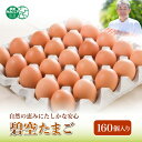 【ふるさと納税】碧空たまご 160個入り Lサイズ タマゴ 卵 玉子 たまご F21R-022