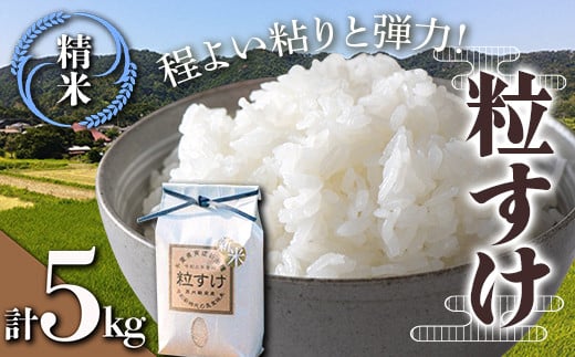 令和7年産米 新米 粒すけ 精米 5kg （5kg×1袋） 白米 お米 ご飯 米 千葉県 鋸南町 F22X-136