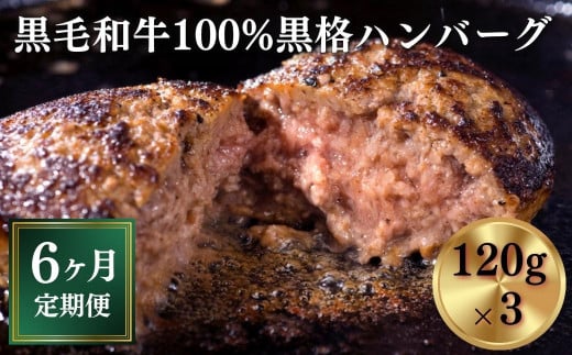 
【定期便/6ヶ月】《格之進》黒格ハンバーグ120g×3個 プレミアム お弁当 個包装 お惣菜 小分け 子供 簡単調理 肉 岩手 一関 贈り物 ギフト お取り寄せ 冷凍 人気
