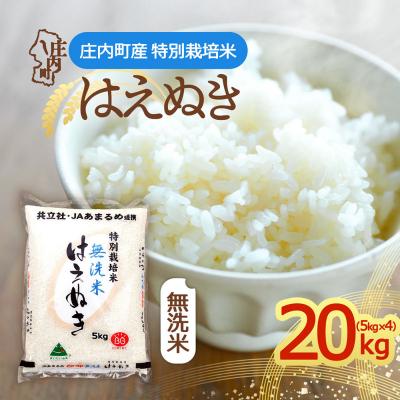ふるさと納税 庄内町 特別栽培米はえぬき無洗米  20kg 5kg×4袋 令和8年産 2026年産 ブランド米